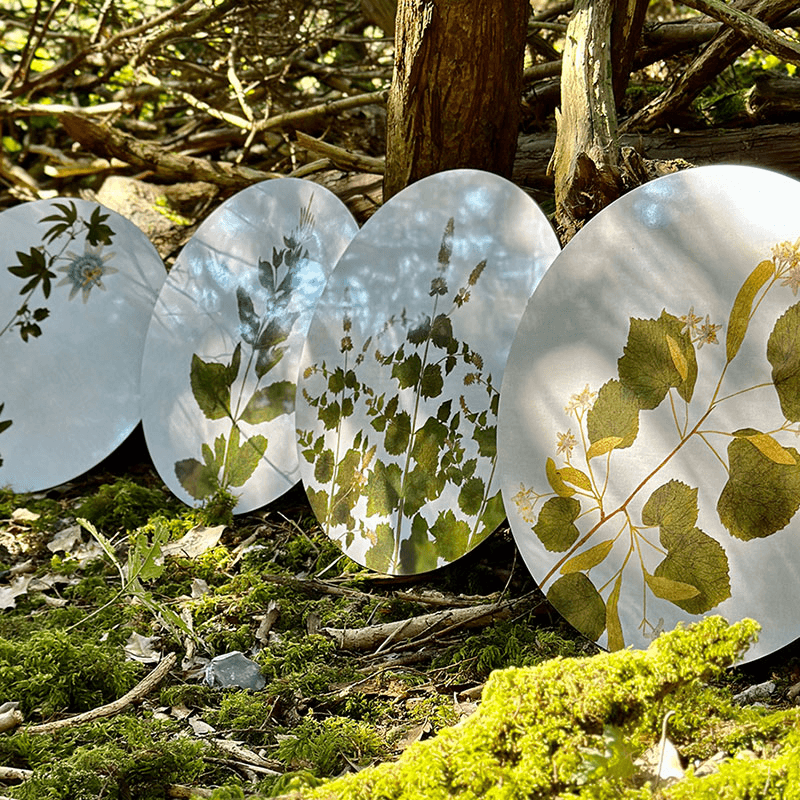 Herbarium Set of 4 Round Placemats, D34cm, Green