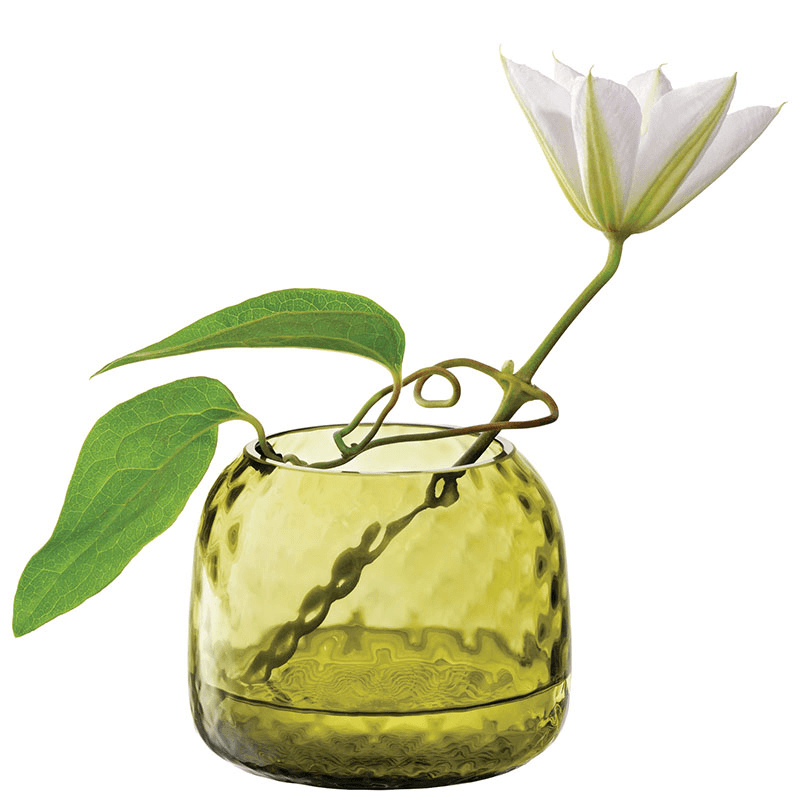 Dapple Tealight/Vase, H7cm, Woodland Green