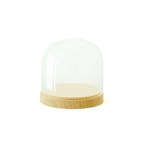 Image showing the Pleasure Dome Small display case, W12.5 x H13cm, Beech product.