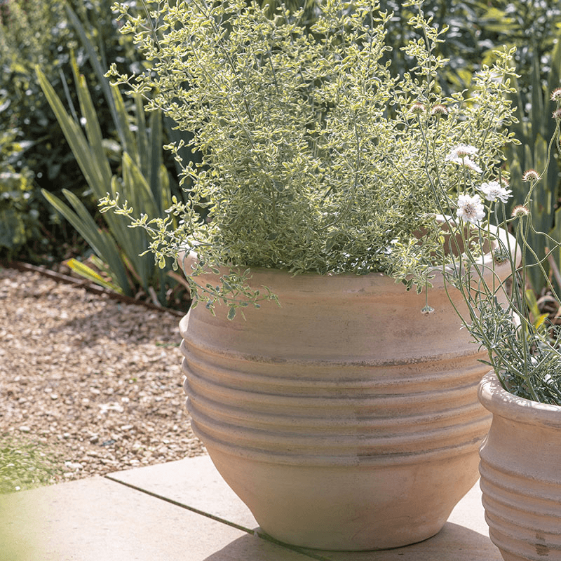 Ullu Planter, H36cm, Terracotta