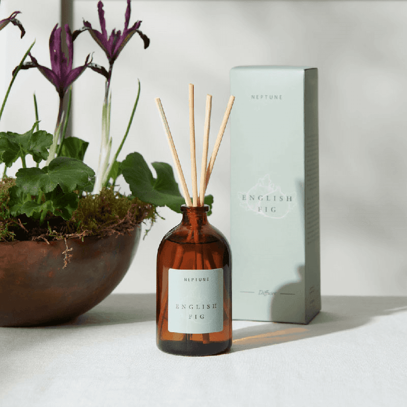 English Fig Diffuser
