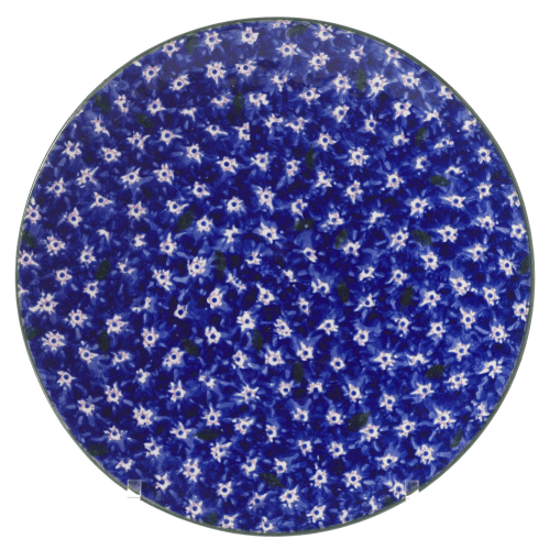 Image showing the Lawn Everyday plate, D23.5cm, Dark Blue product.