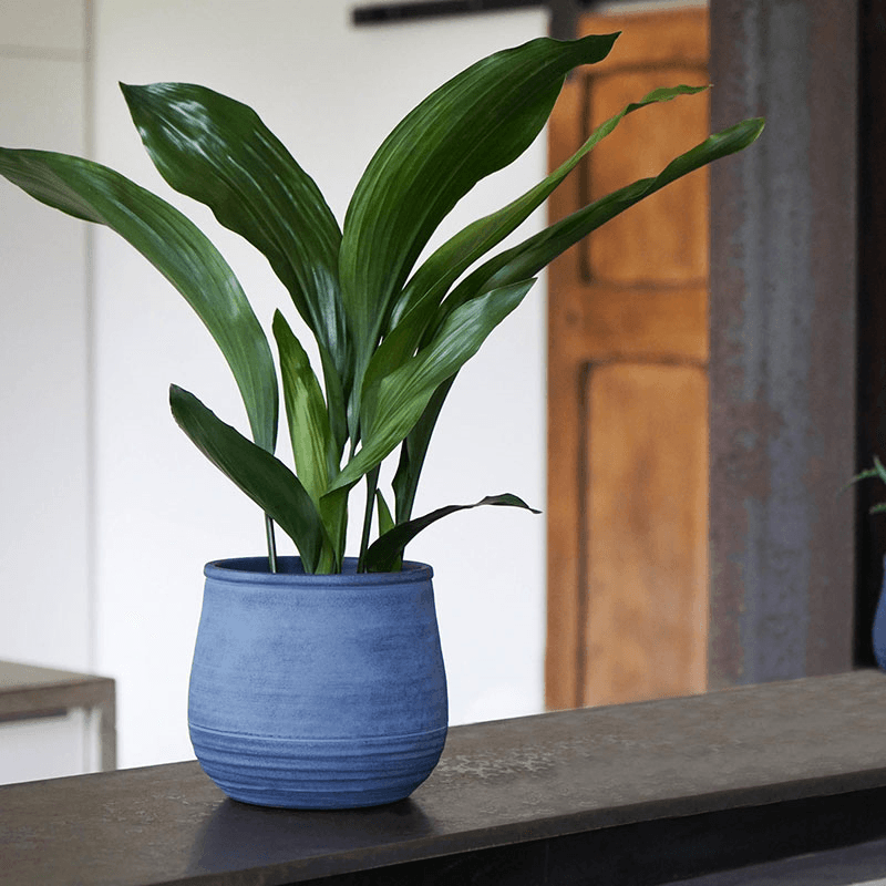 Handthrown Planter, D19cm, Azurite