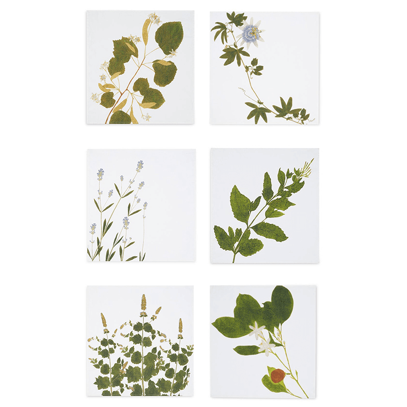 Herbarium Tisane Set of 6 Napkins, L50 x 50cm, Multi