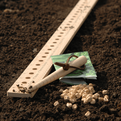 Image showing the Seed & Plant Spacing Ruler, Natural product.