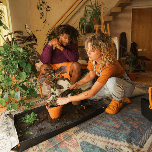 Image showing the Urban Gardening Planting Mat, H28.9 x L3.5 x W29.5cm, Black product.