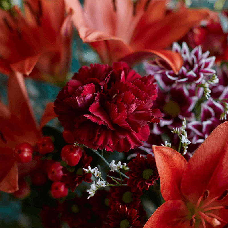 Showstopper 6 Month Flower Subscription and Bespoke Vase