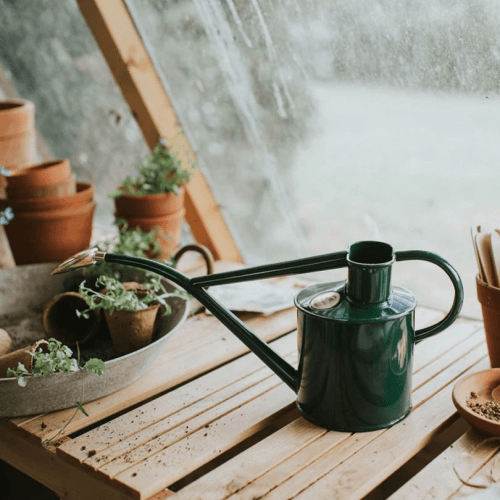 Image showing the The Rowley Ripple Multi Purpose Watering Can, 2 Pint, Green product.