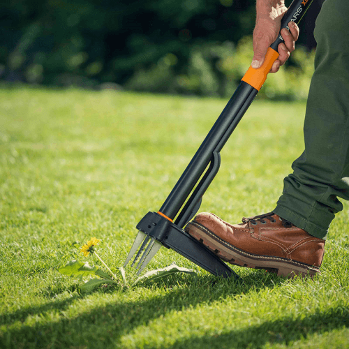 Image showing the Solid Weed Puller, H93 x L9 x W30cm, Black and Orange product.