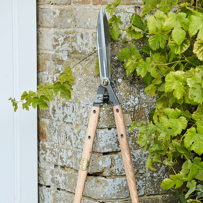 Hedge Shear, Stainless Steel