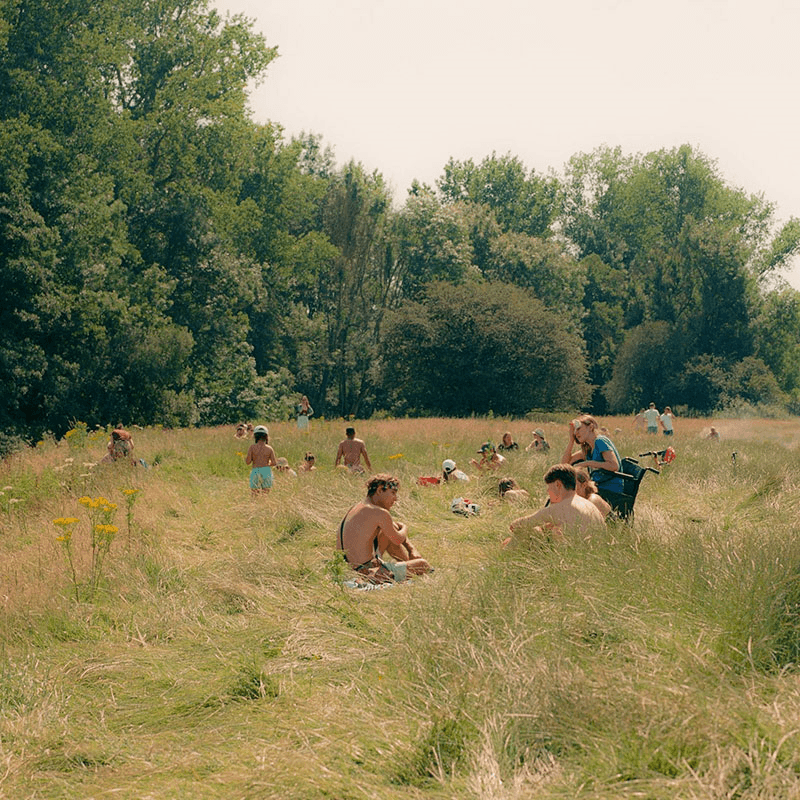 Rory Langdon-Down Heatwave Meadow Print, 40 x 33cm, Multi