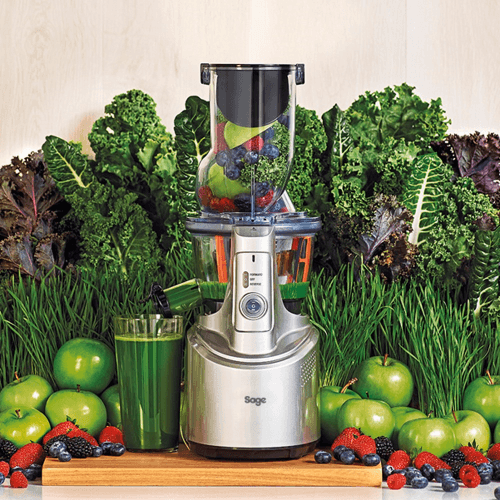 Image showing the The Big Squeeze Slow juicer, Stainless Steel product.