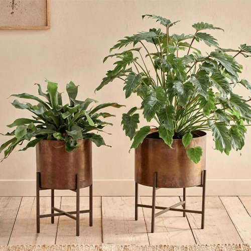 Image showing the Juoni Iron Planter, H35 x W30 x D30cm, Aged Antique Brass product.