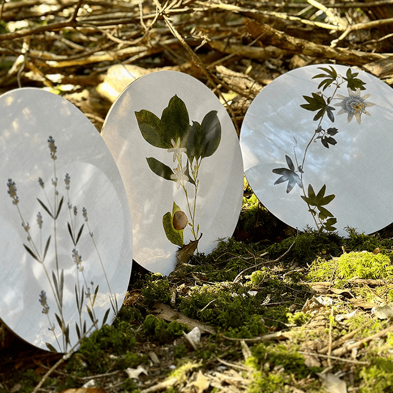 Herbarium Set of 4 Round Placemats, D34cm, Green
