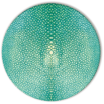 Square Placemats, Shagreen Print, Turquoise, Acrylic, Large, 29.5cm, Set of 4