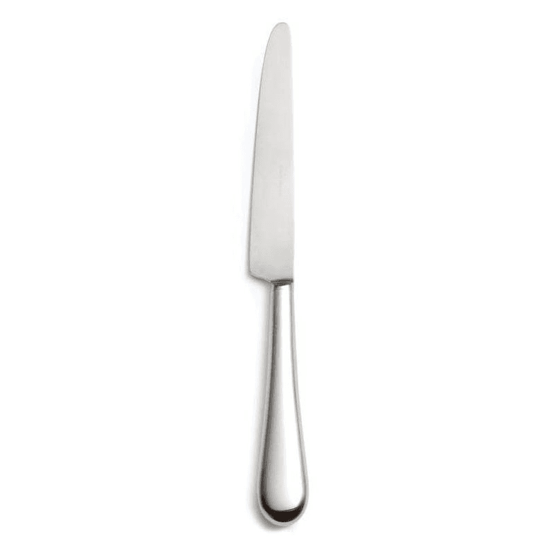 Paris Table knife, Stainless Steel