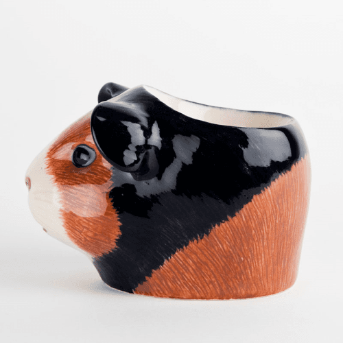 Image showing the Guinea Pig Egg Cup, H7cm, Multi product.