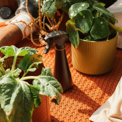 Image showing the Urban Gardening Mister, H22.9 x L7.9 x W10.6cm, Black product.