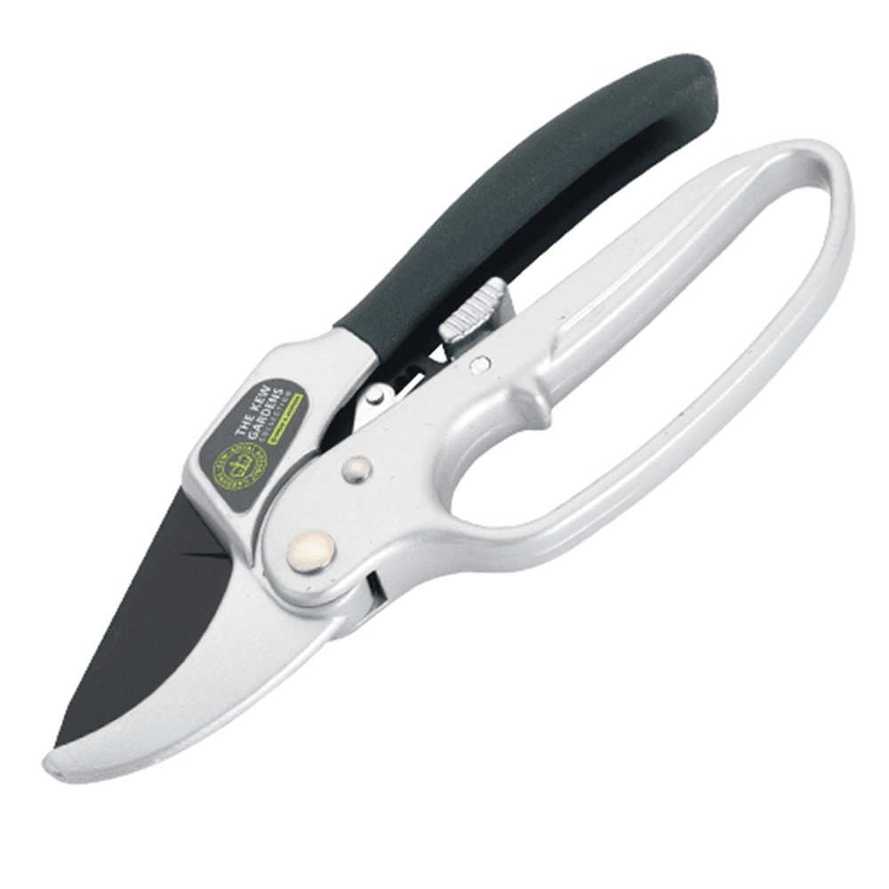 Ratchet anvil secateurs, H21 x W8.5cm, Black/Silver