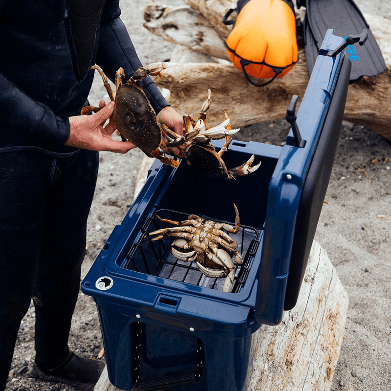 Tundra 45 Cooler, H39cm, Navy