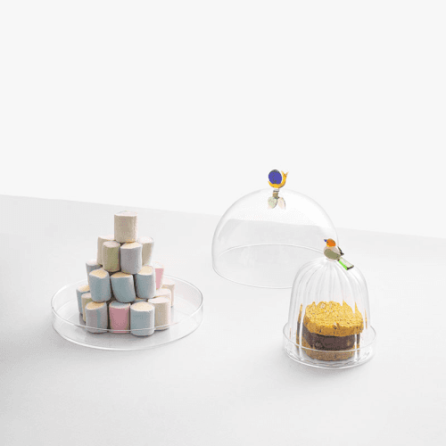 Image showing the Animal Farm Snail Dome with Dish, H17 x W21cm product.