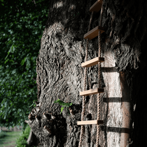 Image showing the Personalised Rope Ladder, Oak product.