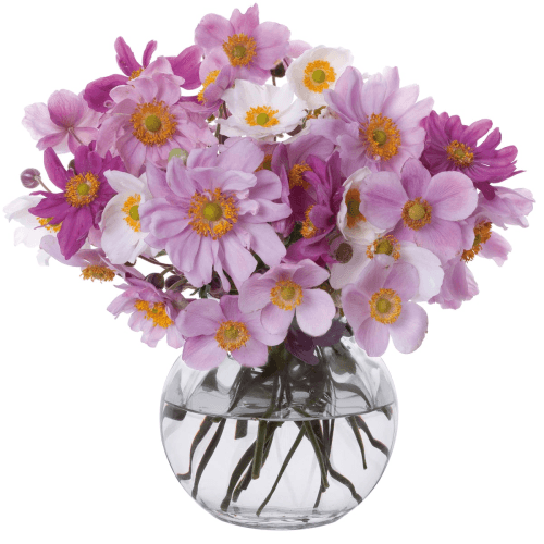 Image showing the Florabundance Anemone vase, H12.5cm, Clear product.