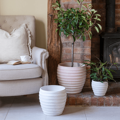Image showing the Beatrice Planter, D35cm, Terracotta product.
