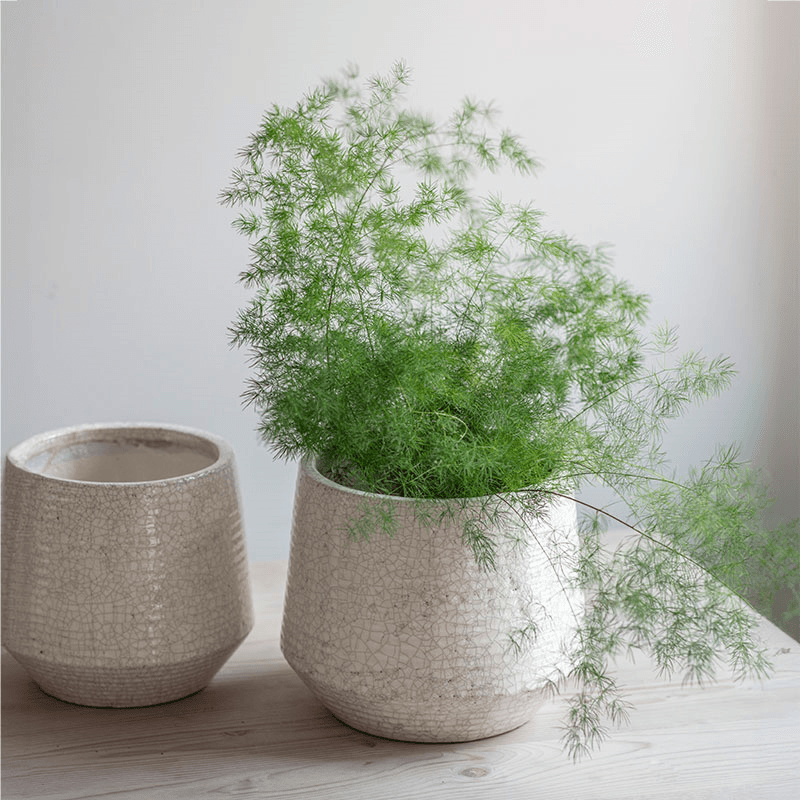 Ravello Ridged Pot, D25cm, White