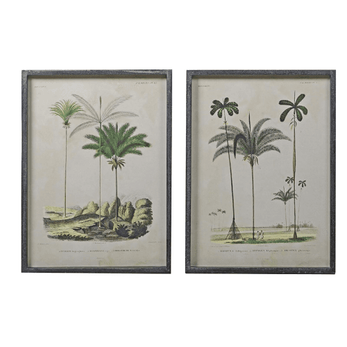 Image showing the Pair of palm tree pictures, H56 x W41cm product.