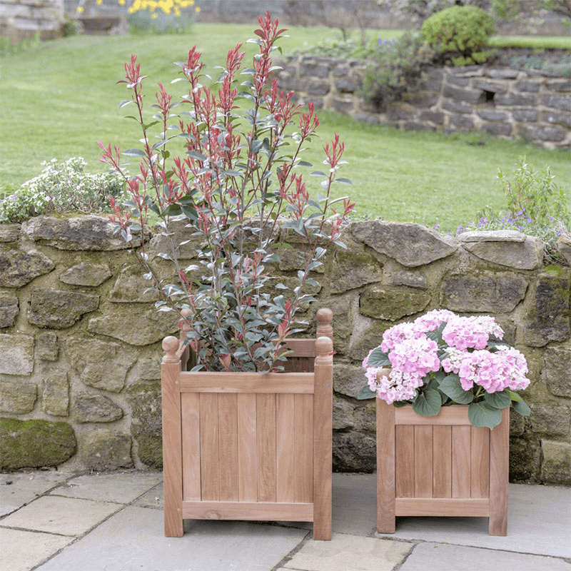 Square Planter, 55cm