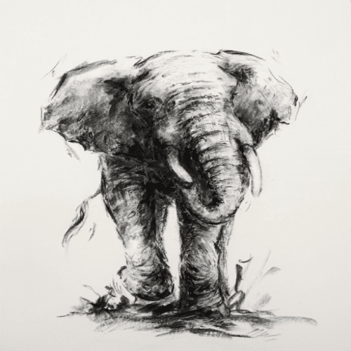 Image showing the Elephant Harmony Framed Print product.