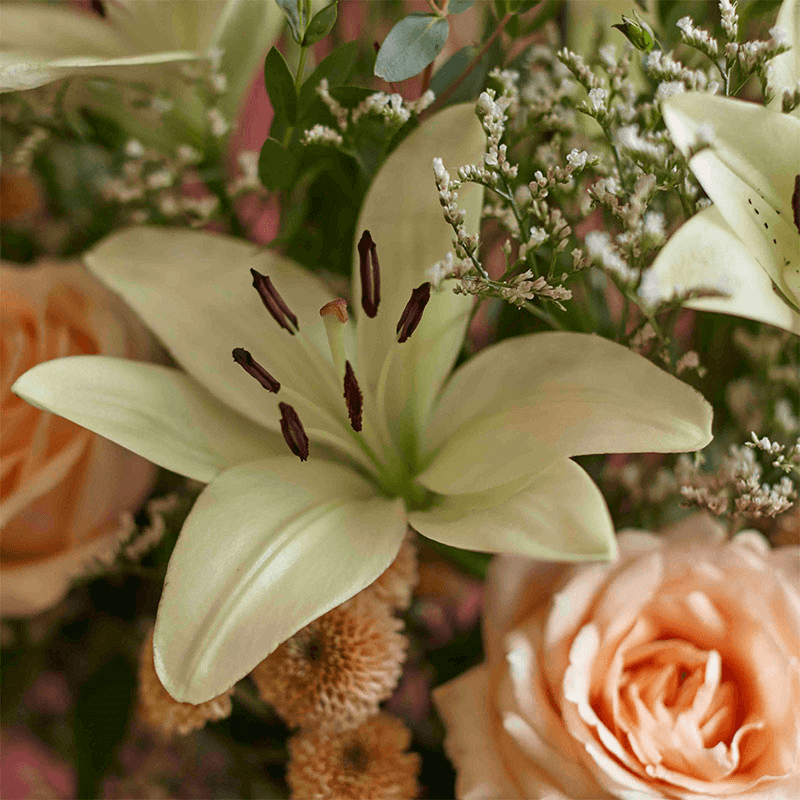 Showstopper 6 Month Flower Subscription and Bespoke Vase