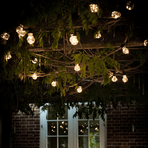 Image showing the Festoon Lights, 20 Bulbs, Black product.