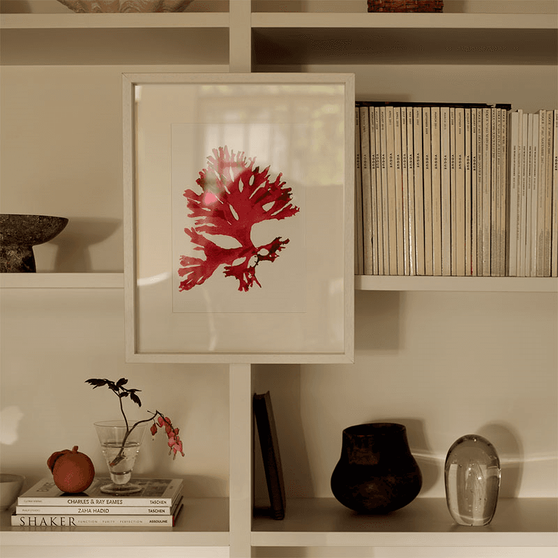 Coastal Beautiful Fanweed Wall Art, Red