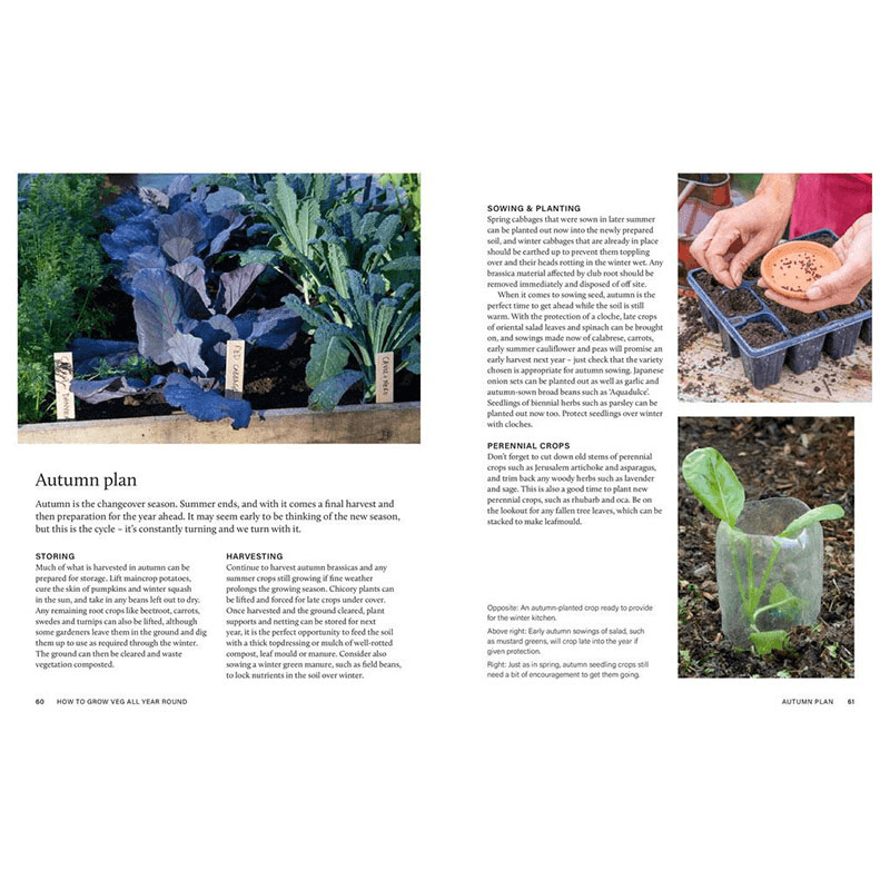 Grow Your Own Veg Through The Year