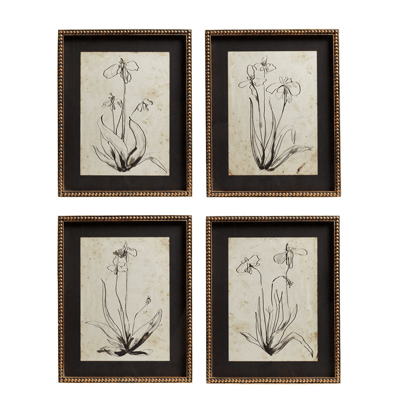 Narin Set of 4 Framed Prints, H50cm x W40cm x D3cm, Multi