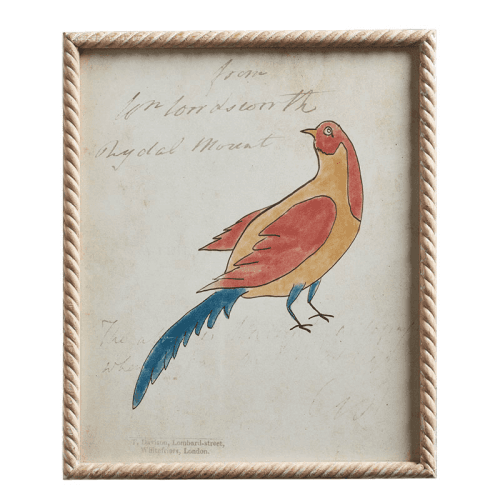 Image showing the Carara Bird Set of 4 Framed Prints, H60cm x W50cm x D3cm, Multi product.