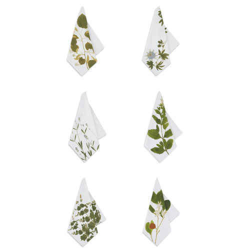 Image showing the Herbarium Tisane Set of 6 Napkins, L50 x 50cm, Multi product.