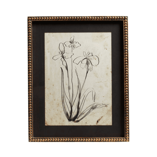 Image showing the Narin Set of 4 Framed Prints, H50cm x W40cm x D3cm, Multi product.
