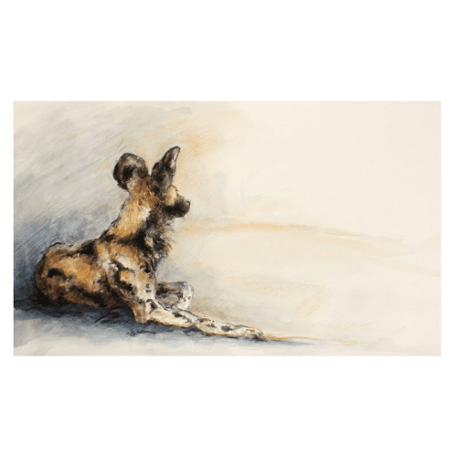 Image showing the Wild Dog Country Mounted Print product.