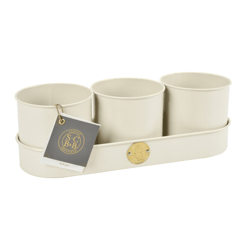 Image showing the Set of 3 Herb Pots, Cream product.