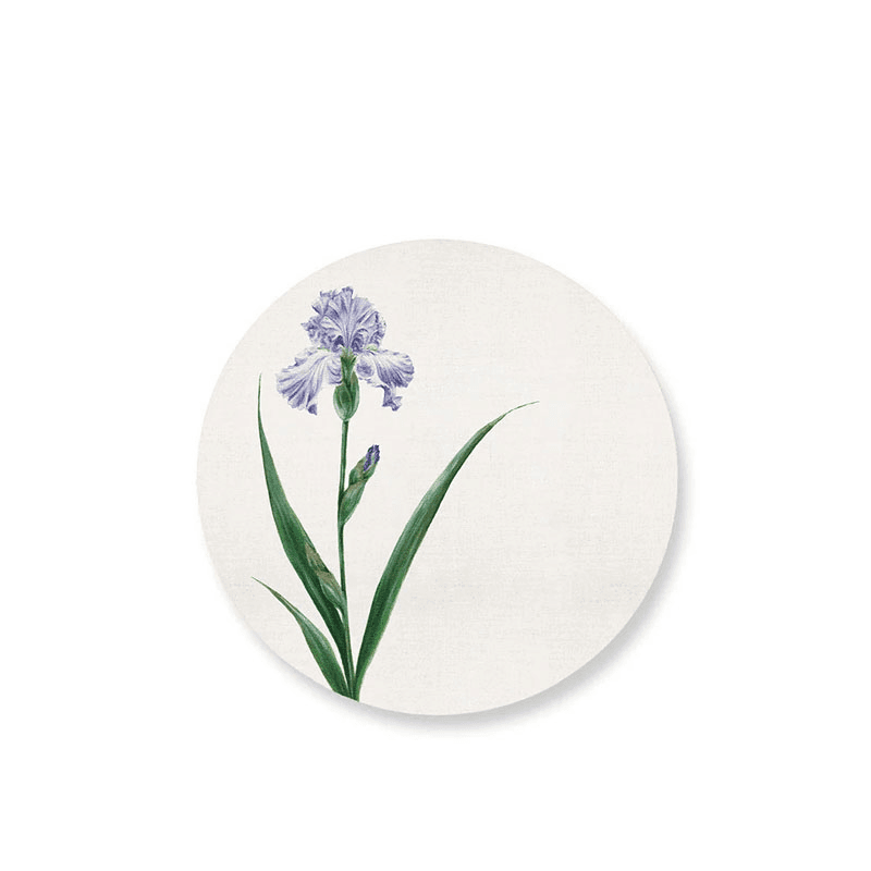 Iris Set of 4 Round Placemats, D34cm, Multi