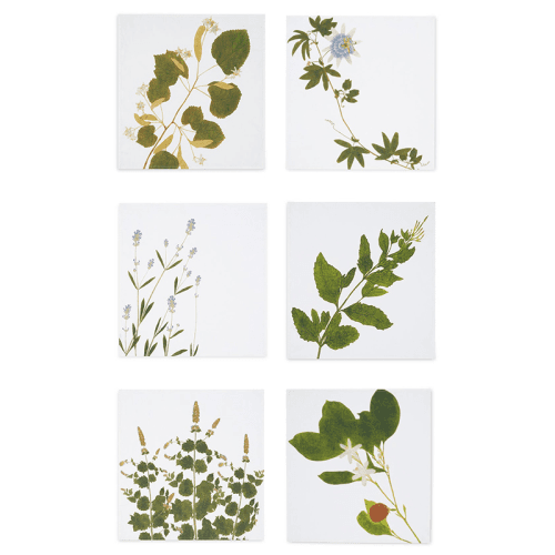 Image showing the Herbarium Tisane Set of 6 Napkins, L50 x 50cm, Multi product.