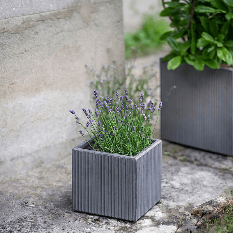 Siddington Set of 3 Square Planters, Grey