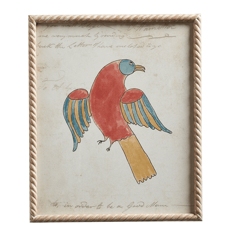 Carara Bird Set of 4 Framed Prints, H60cm x W50cm x D3cm, Multi