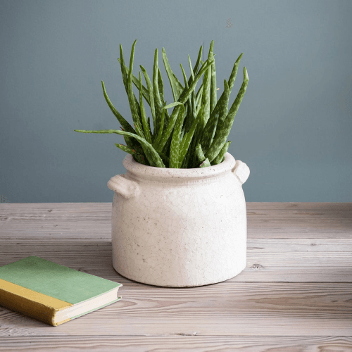 Image showing the Ravello Plant pot, H17.5 x D21 x W23.5cm, White product.