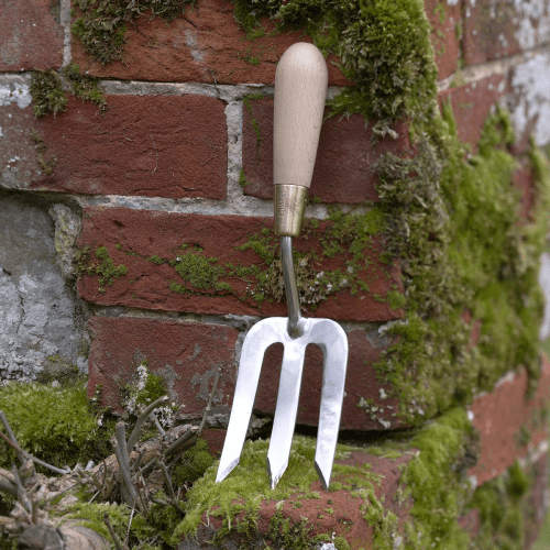 Image showing the Boxed Fork, Stainless Steel product.