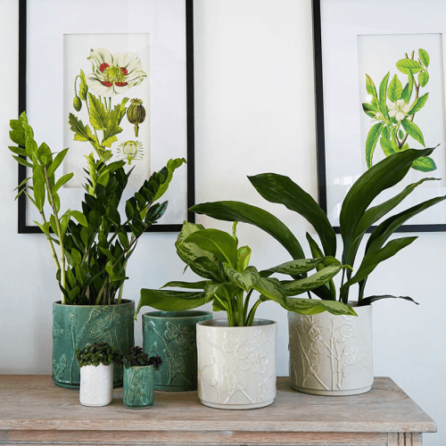 Image showing the Kew Botanical Retreat Stoneware Meadow Planter, D21cm, Green product.