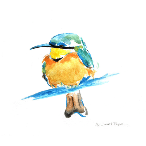 Image showing the Little Bee-eater Framed Print product.